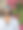 特写照片中，一名印度男子戴着有色的镜面太阳镜站在那里，仰望天空，背景是粉红色的九重葛花，这些花长在藤上，就像不同寻常的热带花园树篱一样，重点放在前景上图片下载