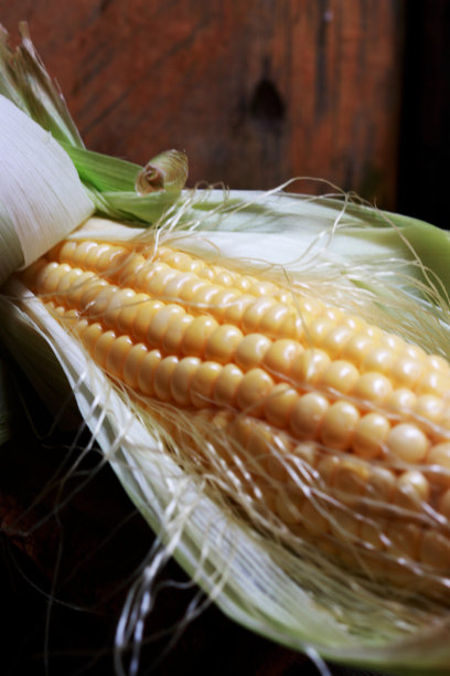 刚从玉米地里摘下来的玉米照片图片下载