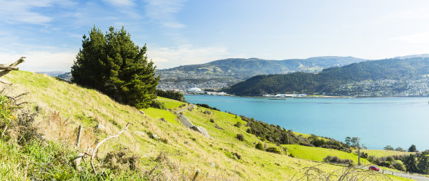 从新西兰达尼丁的士兵纪念碑瞭望台上看到的城市景观和奥塔哥港图片下载