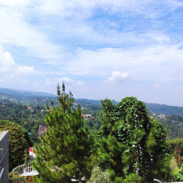 二人组图片下载