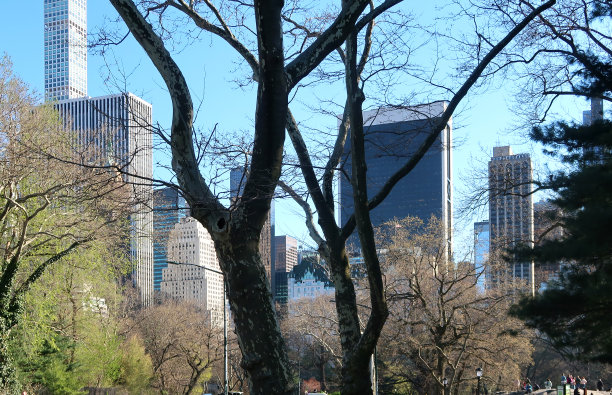 中央公园边缘图片下载
