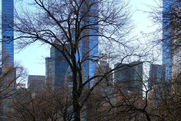 中央公园边缘图片下载