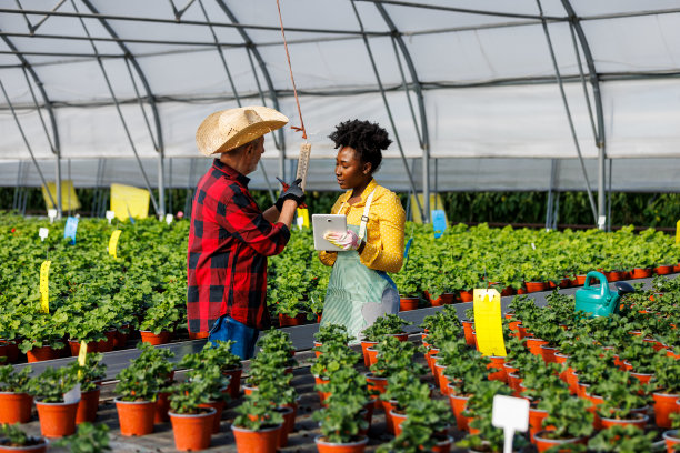 一对多种族的花商夫妇正在检查温室里的温度。图片下载