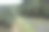 热带景观。丛林中的河流。图片下载