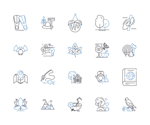 丛林野生动物园线图标收集。冒险，野生动物，野生动物园，丛林，探索，动物群，植物群矢量和线性插图。Jeep,Trek,Canopy轮廓标志集图片下载