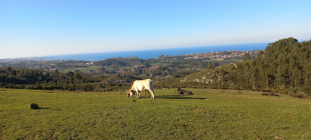 坎塔布里亚海岸全景图图片下载