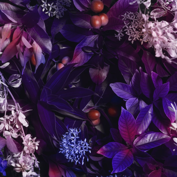 创意荧光热带树叶背景。创造性的自然观念。图片下载