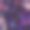 创意荧光热带树叶背景。创造性的自然观念。图片下载
