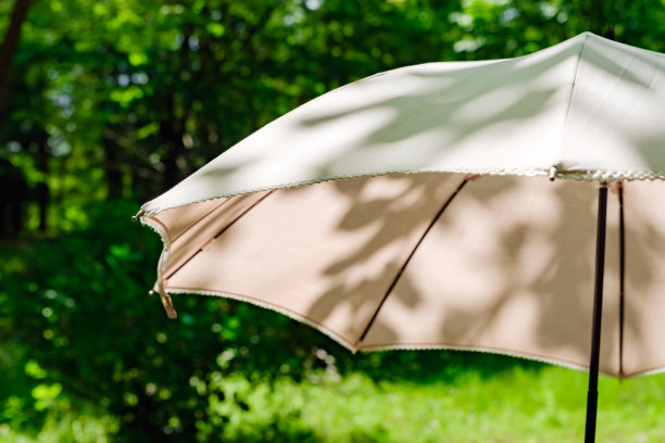 夏日阳光下的白色遮阳伞图片下载