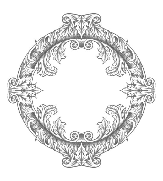 棘果装饰花环细节插图图片下载