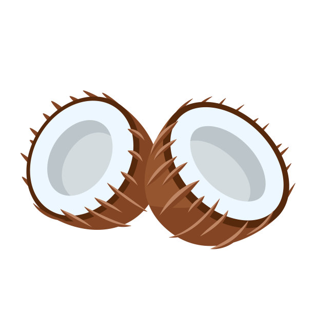 椰子图标孤立的白色背景图片下载
