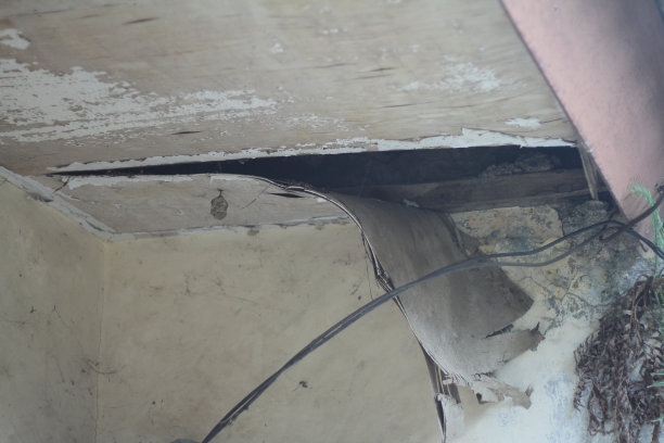 房子的天花板坏了图片下载