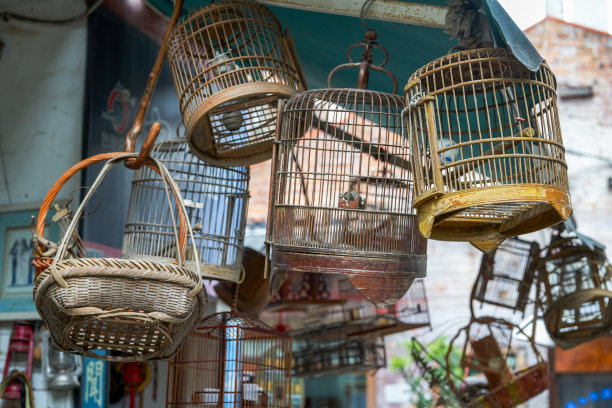 市场上出售的传统竹编鸟笼图片下载