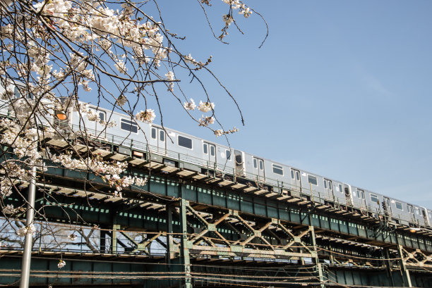 城市里的春天图片下载