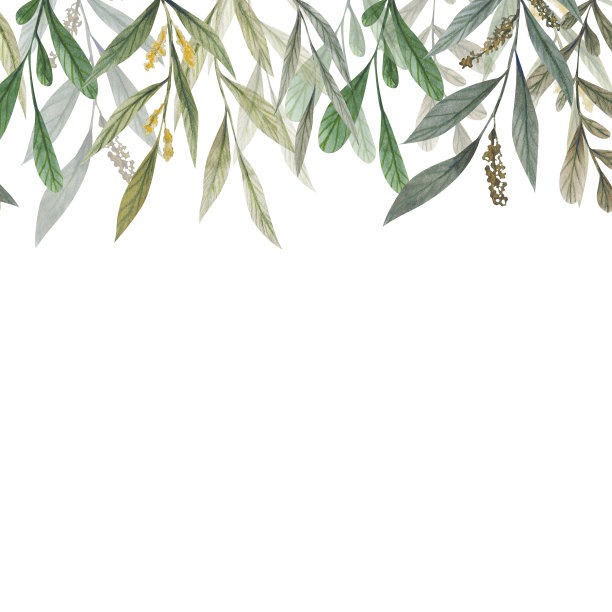 绿色植物边界孤立在白色背景上。墙纸与草药和灌木树枝与树叶在水彩风格化。手绘水彩剪贴画。图片下载