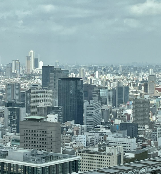 阴天的东京天际图片下载