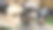 可爱的猪宝宝特写图片下载