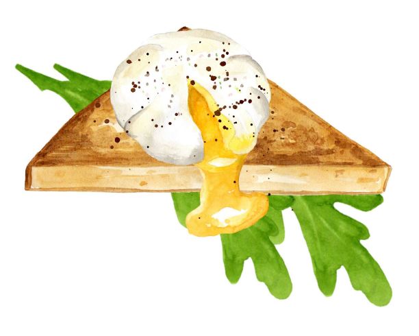 荷包蛋和香草烤面包。做早餐，午餐，晚餐。手绘水彩插图孤立的白色背景。模板设计。图片下载