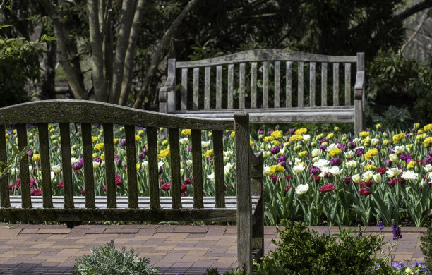 春天花园里的长椅图片下载