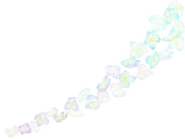 色彩柔和的绣球花层叠而下的插图。图片下载