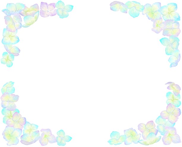 用柔和的绣球花做成的镜框。图片下载