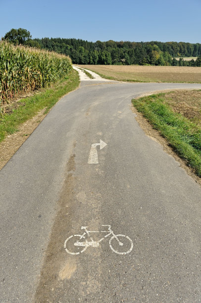 一条风景优美的乡村公路的垂直照片，柏油路上画着一个自行车标志和一个白色箭头图片下载