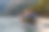 一群朋友在探索平静的河流，周围的森林和巨大的天然河谷时，享受着乐趣和皮划艇图片下载