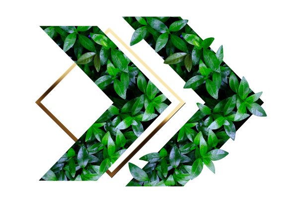 绿叶纹理呈箭头状图片下载