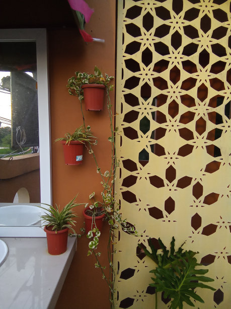 盆栽植物图片下载