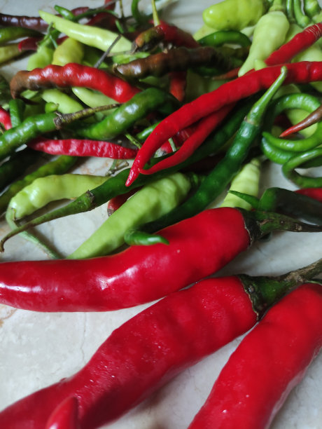 近距离拍摄从市场买来的五颜六色的新鲜辣椒图片下载