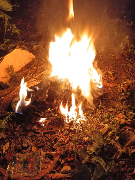 火焚烧垃圾的照片图片下载