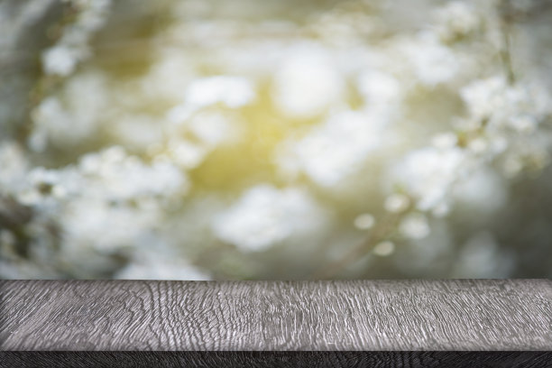 空木桌面在美丽的热带迷离花园图片下载