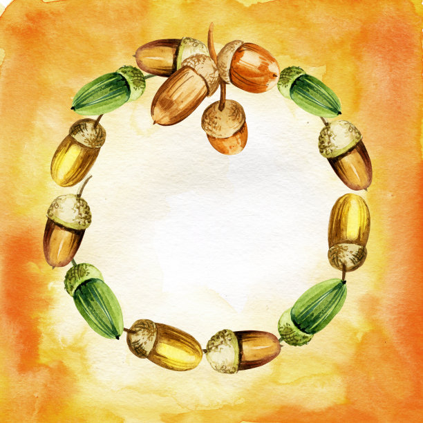 手绘水彩圆形构图与橡树种子，橡子，黄色，绿色和橙色，秋天的橡子在水彩背景图片下载