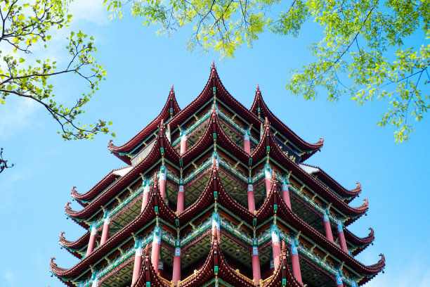 蓝天绿树下的宫殿图片下载