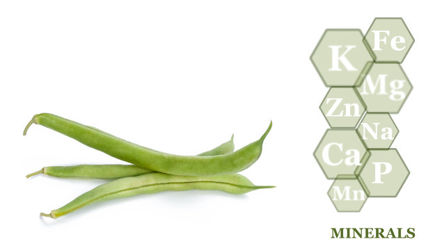 在白色背景上分离出新鲜成熟的青豆荚，上面有青豆中发现的矿物质的标记图片下载