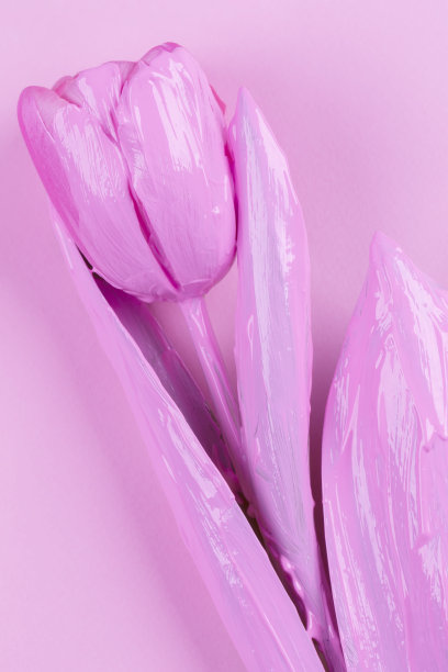 粉红色的郁金香在粉红色的背景上。花极简主义。图片下载