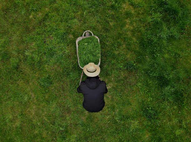 戴草帽的园丁把割草机的篮子扔进手推车里。漂亮的绿色花园养护园艺。一个男人驾着一辆大车俯视着果园的表面图片下载