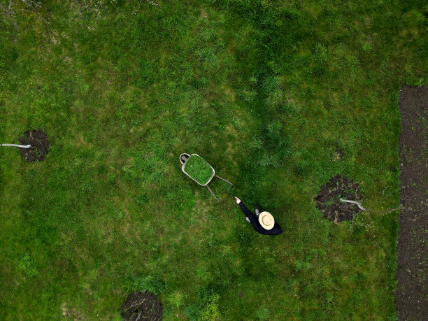 戴草帽的园丁把割草机的篮子扔进手推车里。漂亮的绿色花园养护园艺。一个男人驾着一辆大车俯视着果园的表面图片下载