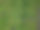 戴草帽的园丁把割草机的篮子扔进手推车里。漂亮的绿色花园养护园艺。一个男人驾着一辆大车俯视着果园的表面图片下载