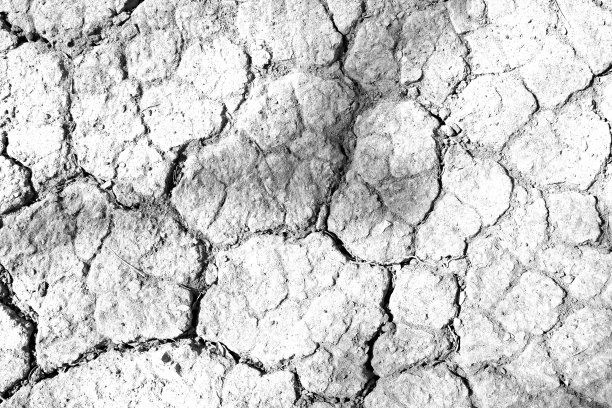 质地土干裂背景图案自然干旱缺水白黑老破。图片下载