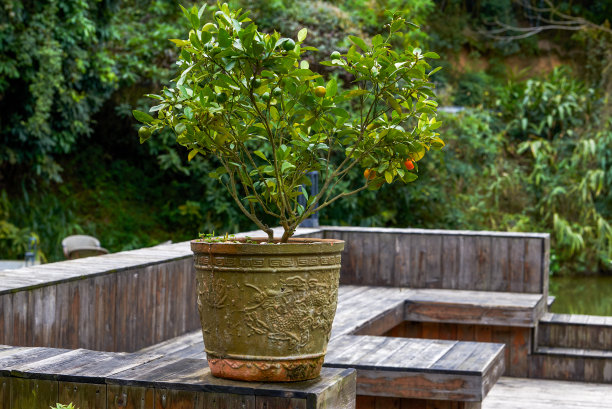 石头建筑和种植的绿色植物在花园公园图片下载