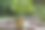 石头建筑和种植的绿色植物在花园公园图片下载