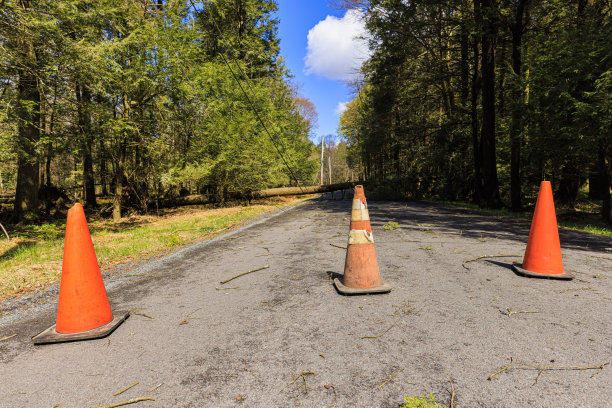 自然vs基础设施:控制和安全。由于倒下的树，交通锥阻塞了道路图片下载