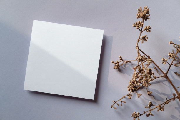 白色空白问候或邀请卡与干植物装饰在紫色的背景。模拟演示。图片下载