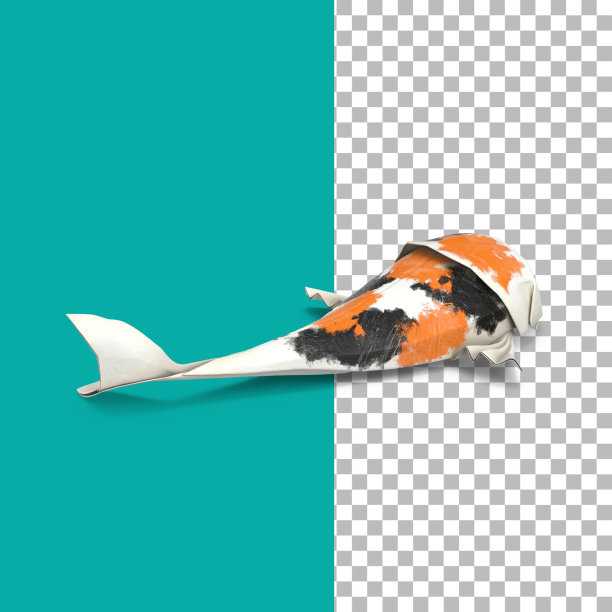 锦鲤纸工艺为元素设计集。图片下载