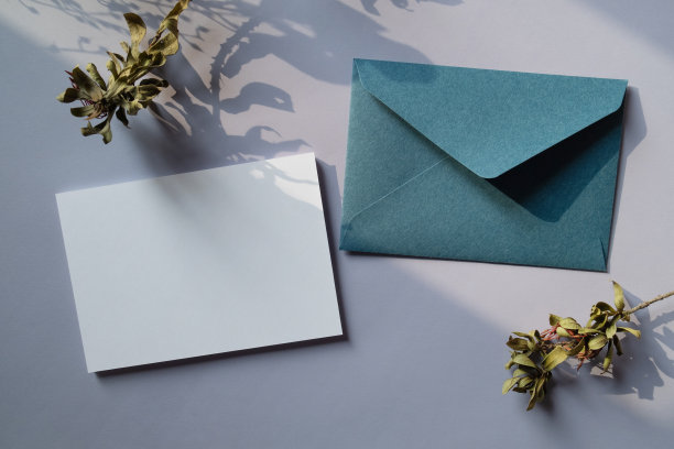 白色空白问候或邀请卡与干植物装饰在紫色的背景。模拟演示。图片下载