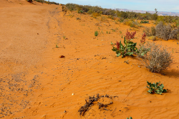 红沙漠景观纳瓦霍民族领土附近的Page亚利桑那州图片下载