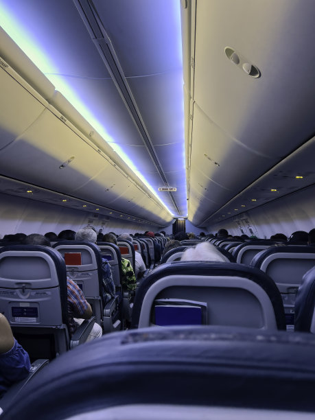 飞机上的乘客图片下载
