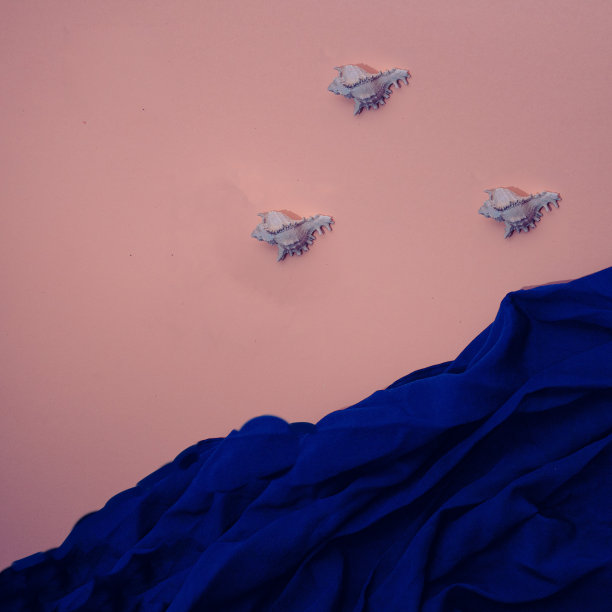 三个贝壳和一条蓝色围巾，象征着神秘的海洋和生命。图片下载