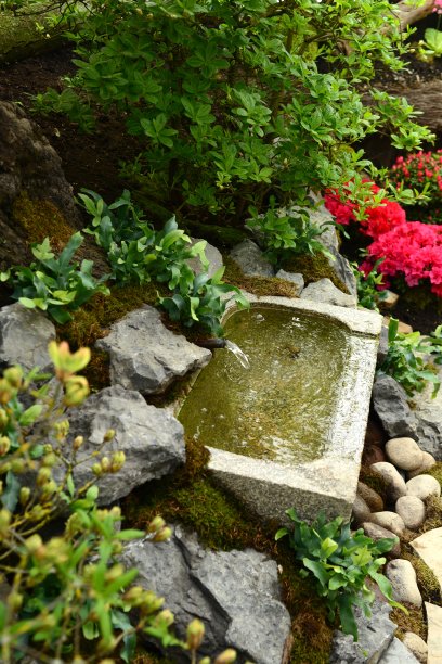 鸟瞰鲜花和喷泉图片下载